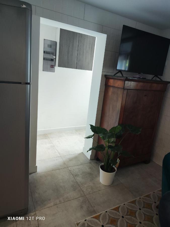 Appartement Renovee Dans Maison Ancienne Amancy Exteriör bild