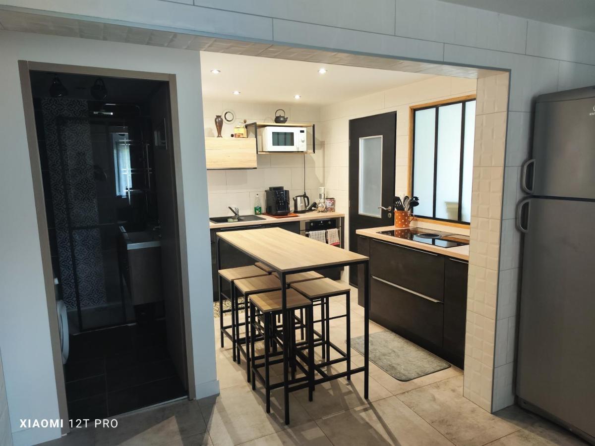 Appartement Renovee Dans Maison Ancienne Amancy Exteriör bild